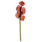 Vilten Stokroos Oudroze - 38cm NIEUW, Ophalen of Verzenden, Nieuw
