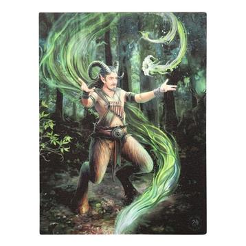 Canvas - Earth Element Wizard - Anne Stokes - 19x25cm beschikbaar voor biedingen