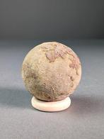 Zeeschilpad ei - Gefossiliseerd ei - Panchelonioidea sp. -, Verzamelen, Mineralen en Fossielen