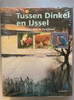 Tussen IJssel en Dinkel 9789080500914 Joop Kleuver, Boeken, Verzenden, Gelezen, Joop Kleuver