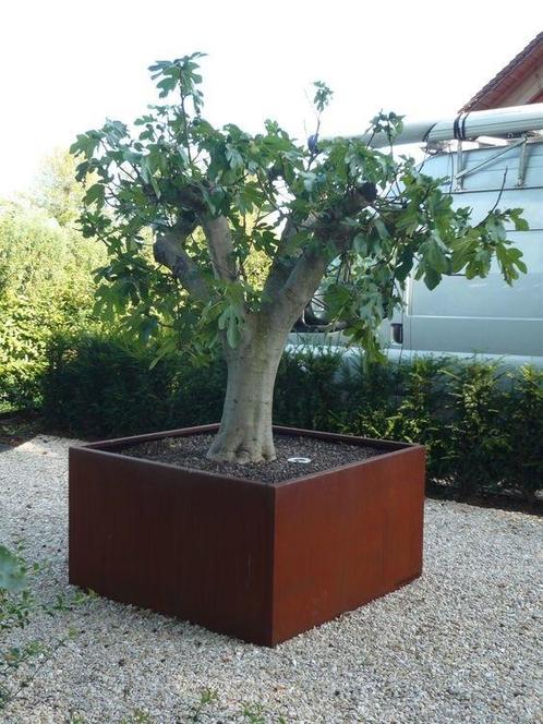 Plantenbak Cortenstaal 100x100x80 cm, Tuin en Terras, Bloembakken en Plantenbakken, Nieuw, Verzenden