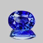 1 pcs Blauw Saffier - 1.67 ct - Gemological Institute of, Nieuw