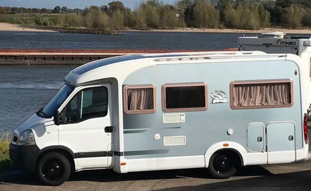2 pers. Renault camper huren in Raamsdonksveer? Vanaf € 131, Caravans en Kamperen, Verhuur