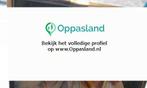 Ik ben Richard, 47 jaar oud en ik zoek oppaswerk in Panne..., Diensten en Vakmensen, Oppas en Kinderopvang