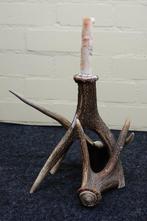 Red Stag candle holder Schedel - Cervus elaphus - 25 cm - 26, Verzamelen, Nieuw