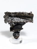 Mangaanoxiden uit gips-pseudomorfisme<br>Zeldzaam exemplaar, Verzamelen