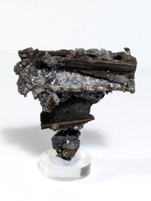 Mangaanoxiden uit gips-pseudomorfisme<br>Zeldzaam exemplaar, Verzamelen, Mineralen en Fossielen