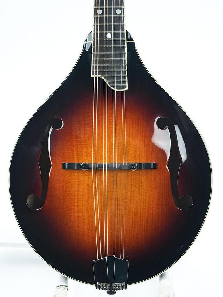 Eastman MD505CS A Style Mandolin (Folk & Bluegrass), Muziek en Instrumenten, Snaarinstrumenten | Mandolines, Nieuw, Ophalen of Verzenden