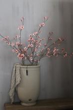Brynxz Cornus old Pink 110 cm, Ophalen of Verzenden, Nieuw