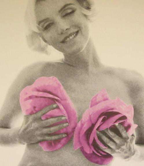 Bert Stern - Marylin, Musée Maillol - The last sitting, Antiek en Kunst, Kunst | Tekeningen en Foto's
