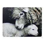 placemat schaap en lam 30x40cm (4), Huis en Inrichting, Woonaccessoires | Overige, Verzenden, Nieuw