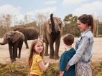 Safaripark Beekse Bergen ticket met 24% korting