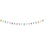 Vlaggenlijn Klein Gekleurd 2m, Hobby en Vrije tijd, Feestartikelen, Verzenden, Nieuw