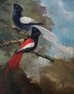 Franse school (XX) - Coppia di uccelli esotici su ramo, Antiek en Kunst, Kunst | Schilderijen | Klassiek