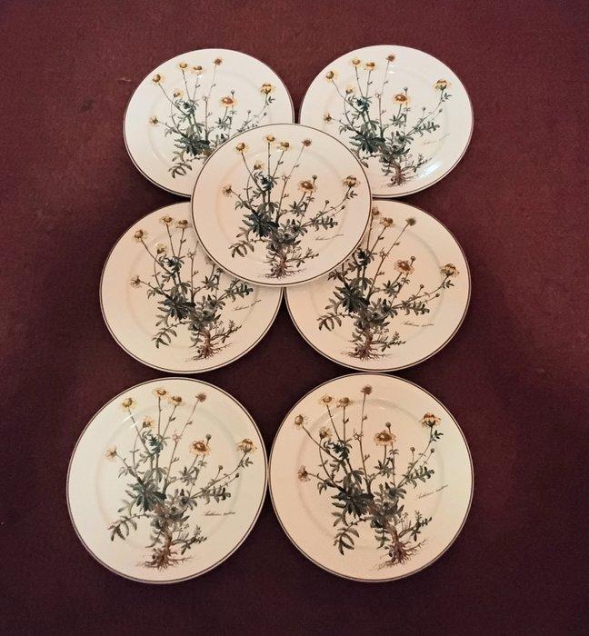 Villeroy & Boch - Villeroy Boch - Tafelservies (7) -, Antiek en Kunst, Antiek | Meubels | Tafels