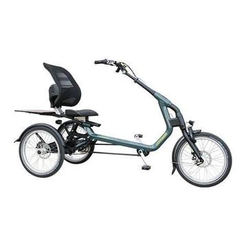 Van Raam Easy Rider 3 | Volwassen Driewieler | vanaf € 4079 beschikbaar voor biedingen