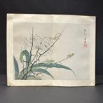 aquarel schildering met daslook en insekten - gesigneerd -