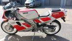 Yamaha - TZR 250 - 3MA - 250 cc - 1990, Motoren