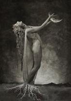 Frédérique Longrée - Sélène