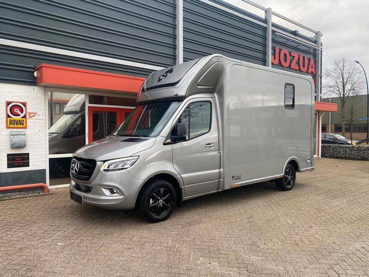 Mercedes Sprinter -Sodiak - Paardenwagen - BPM-VRIJ!, Dieren en Toebehoren, Paarden en Pony's | Trailers en Aanhangwagens, 2-paards trailer