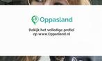 Ik ben Brigit, 16 jaar oud en ik zoek oppaswerk in Eefde.