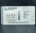 7 pcs Diamant (Natuurlijk gekleurd) - 1.03 ct Bruin, Gemengd, Nieuw