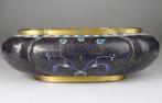 Plantenbak, Vaas - Brons, Cloisonné emaille, Verguld - China