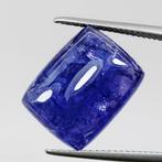Blauw Tanzaniet - 15.71 ct - Instituto Gemólogico Español, Sieraden, Tassen en Uiterlijk, Edelstenen, Nieuw