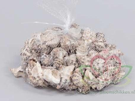 Thais Rustica Schelpen 350 gram, Hobby en Vrije tijd, Knutselen, Nieuw, Ophalen of Verzenden