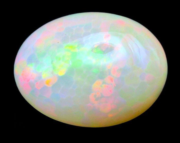 Opale Welo bijenkorf 14,45 karaat Gepolijste - Hoogte: 21 mm, Verzamelen, Mineralen en Fossielen