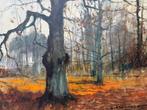 Henri Joseph Pauwels (1903-1983) - Bos in de herfst