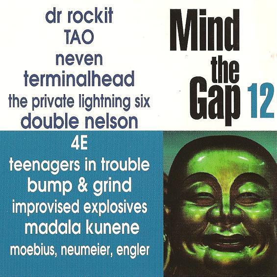 Various - Mind The Gap Volume 12, Cd's en Dvd's, Cd's | Pop, Gebruikt, Ophalen of Verzenden