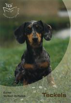 Teckels / Basisgids dierenverzorging 9789058411358, Boeken, Verzenden, Gelezen, E. Verhoef-Verhallen