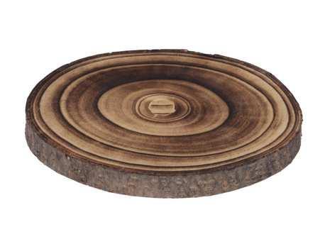 Boomstamschijf Paulownia slice FIRE Houten schijf 20*2cm, Hobby en Vrije tijd, Knutselen, Nieuw, Ophalen of Verzenden