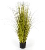 Kunstplant Miscanthus Gras 105 cm