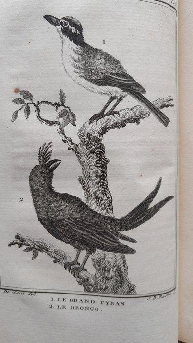 Buffon / Sonnini - Histoire naturelle. Tome 50 : Les oiseaux, Antiek en Kunst, Antiek | Boeken en Bijbels