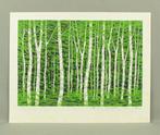 Original woodblock print - Shirakaba C  C(White Birch)