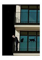 Mr Strange - The Old Man and his Cats, Antiek en Kunst