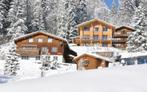 Ons vakantiehuis in Zwitserland is te huur!, Vakantie, Vakantiehuizen | Zwitserland, Eigenaar, Huisdier toegestaan, In wintersportgebied