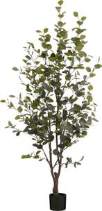 Tweedekans | Mica Decorations Kunstplant Eucalyptusboom in, Huis en Inrichting, Kamerplanten, Ophalen of Verzenden