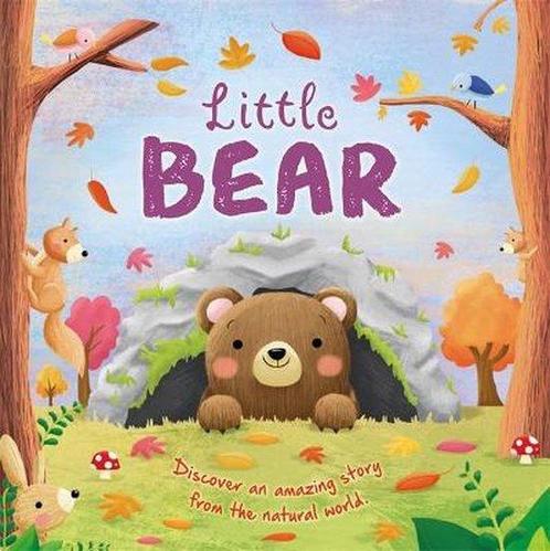 Picture Flats- Little Bear 9781839030734 Igloo Books, Boeken, Overige Boeken, Zo goed als nieuw, Verzenden