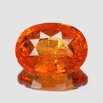 1 pcs Oranje Spessartiet - 7.02 ct - nternational Colored, Nieuw