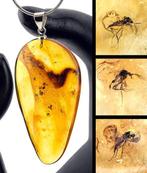 Barnsteen - Multi Inclusion Baltic Amber – 3 MOSQUITOS