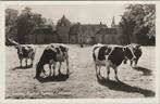 DELDEN - Kasteel Twickel, Verzenden, Gelopen