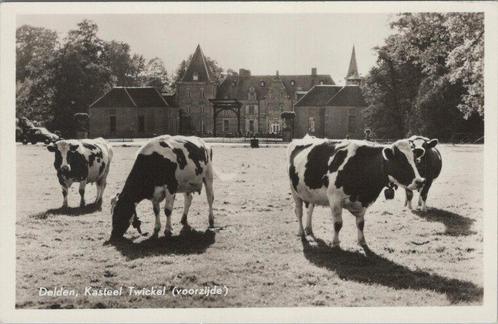 DELDEN - Kasteel Twickel, Verzamelen, Ansichtkaarten | Nederland, Verzenden