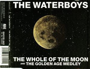 cd single - The Waterboys - The Whole Of The Moon, Cd's en Dvd's, Cd Singles, Zo goed als nieuw, Verzenden