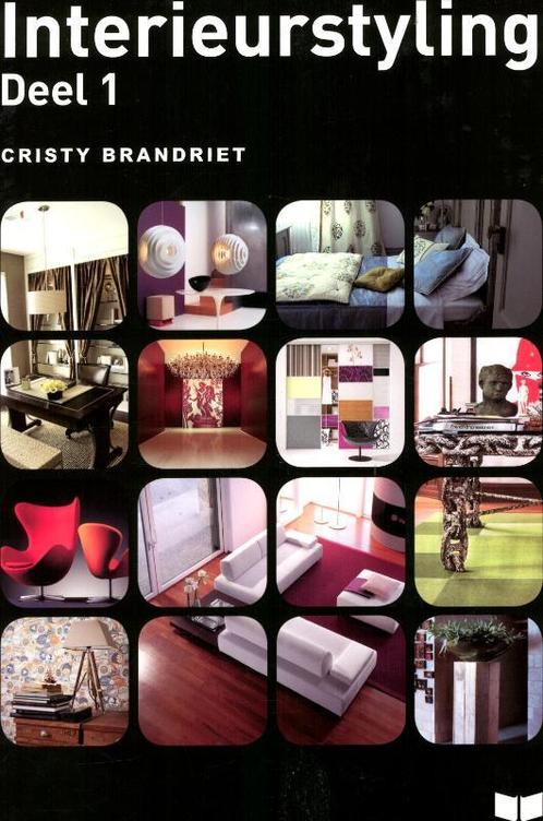 Interieurstyling 9789041509079 Cristy Brandriet, Boeken, Hobby en Vrije tijd, Zo goed als nieuw, Verzenden