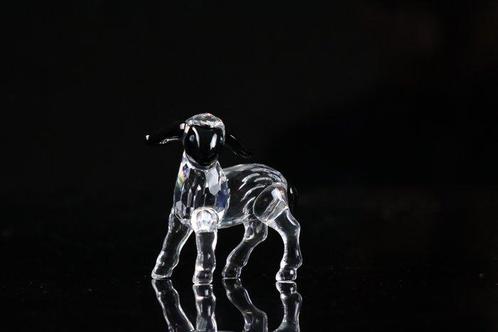 Figuur - Swarovski - Lammetje (Boxed + Certificate) -, Antiek en Kunst, Curiosa en Brocante