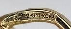 Zonder Minimumprijs - Hanger - 9 kt. Geel goud Robijn -