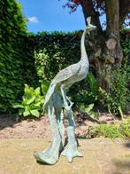sculptuur, Peacock - Pauw - 58 cm - Brons